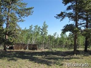 257 Bolster Dr Lot 1094, Hartsel, CO 80449