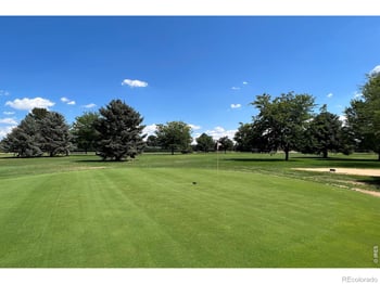 109 Grand View Dr, Mead, CO 80542