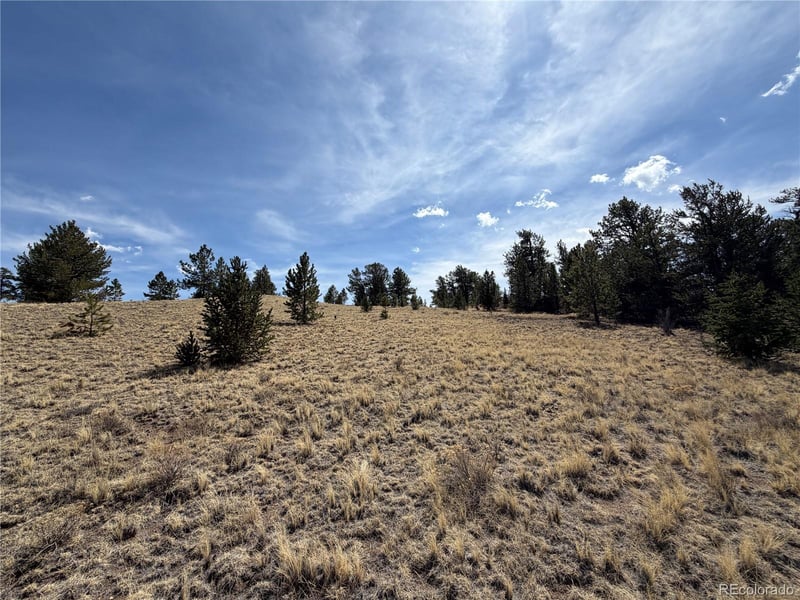 2839 Fitzsimmons Rd, Hartsel, CO 80449