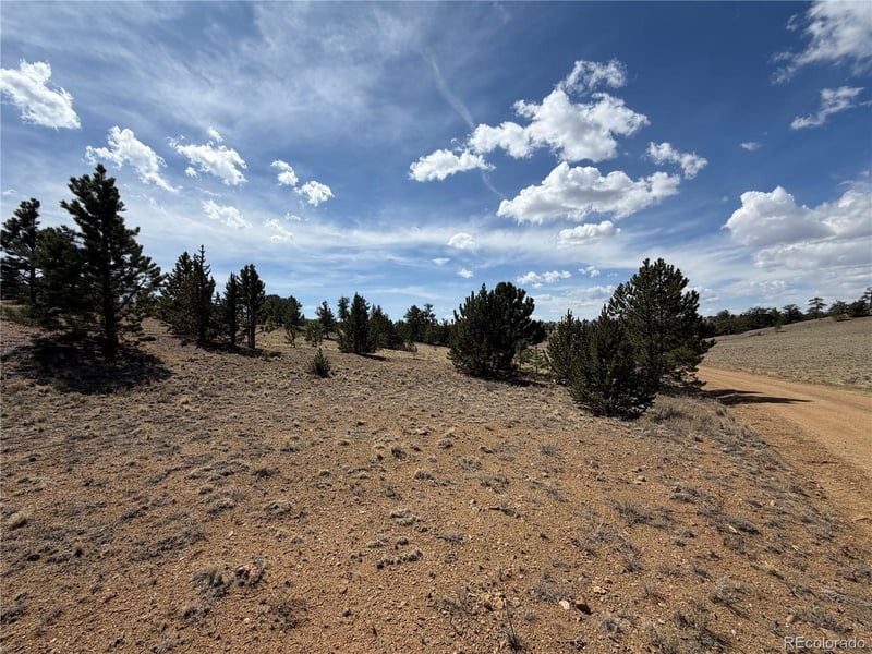 2839 Fitzsimmons Rd, Hartsel, CO 80449