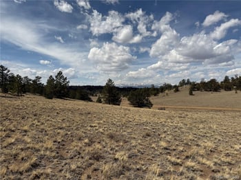 2839 Fitzsimmons Rd, Hartsel, CO 80449