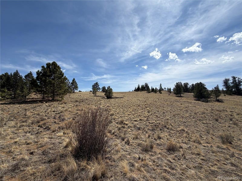 2839 Fitzsimmons Rd, Hartsel, CO 80449