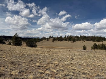 2839 Fitzsimmons Rd, Hartsel, CO 80449
