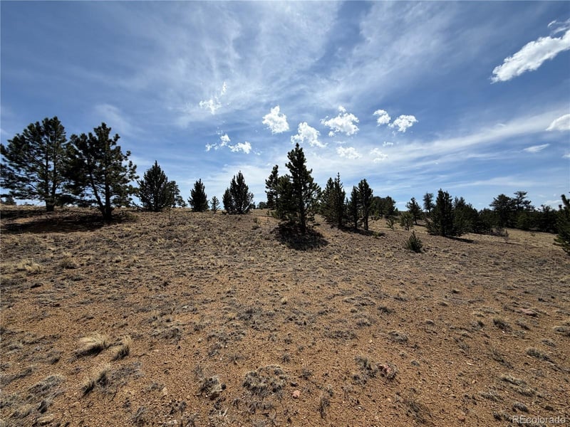 2839 Fitzsimmons Rd, Hartsel, CO 80449