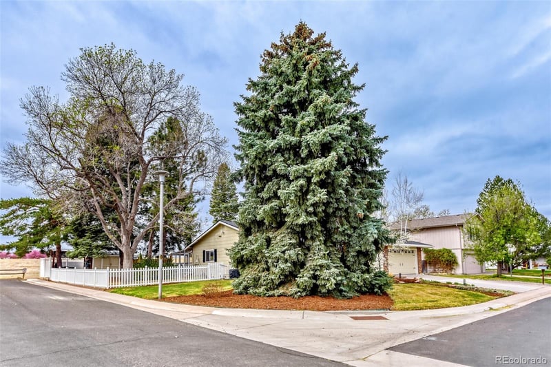 7398 Costilla St, Littleton, CO 80120