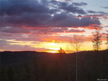 32462 Lodgepole Dr, Evergreen, CO 80439