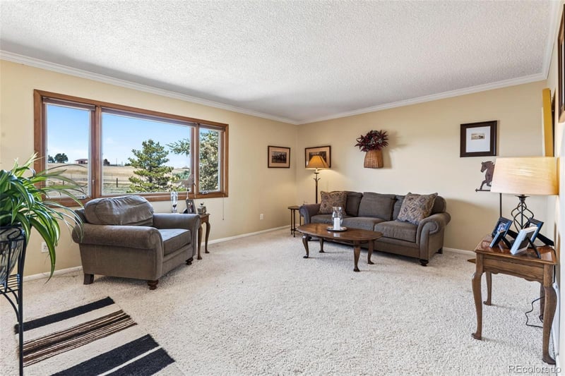 12360 Mesa View Rd, Larkspur, CO 80118