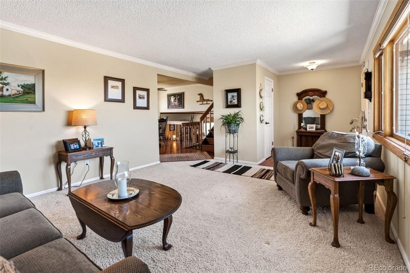 12360 Mesa View Rd, Larkspur, CO 80118