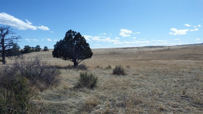 35584 Comanche Creek Rd, Kiowa, CO 80117