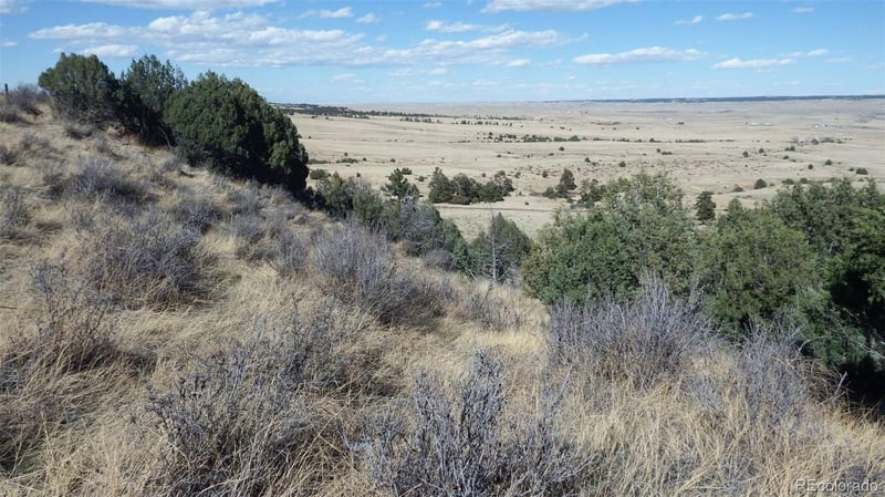 35584 Comanche Creek Rd, Kiowa, CO 80117