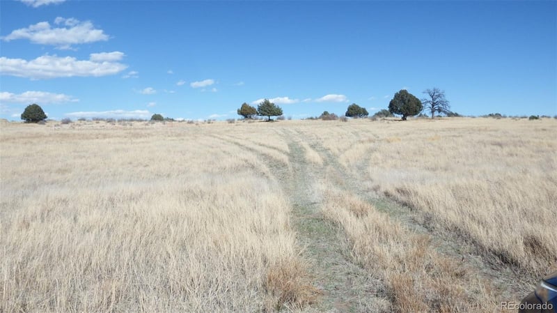 35584 Comanche Creek Rd, Kiowa, CO 80117