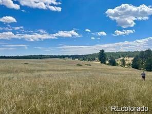 11726 Cr 102 , Elbert, CO 80116