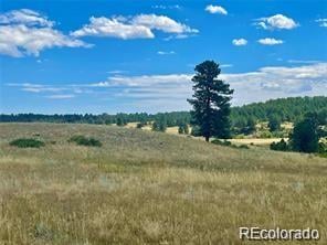 11726 Cr 102 , Elbert, CO 80116