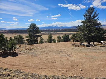 636 Bonell Dr, Fairplay, CO 80440