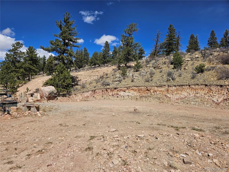 636 Bonell Dr, Fairplay, CO 80440