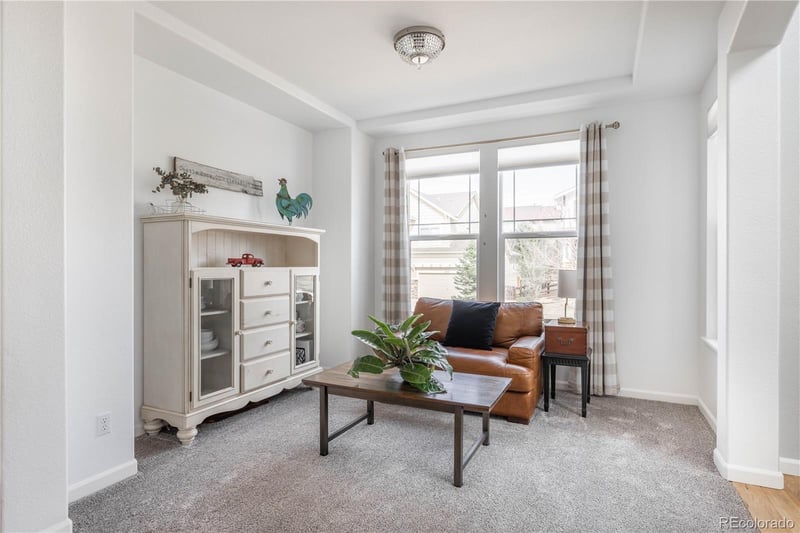 2788 Dreamcatcher Loop, Castle Rock, CO 80109