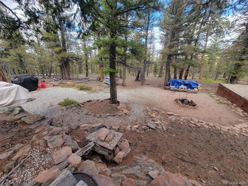 94 Pullman Loop, Hartsel, CO 80449