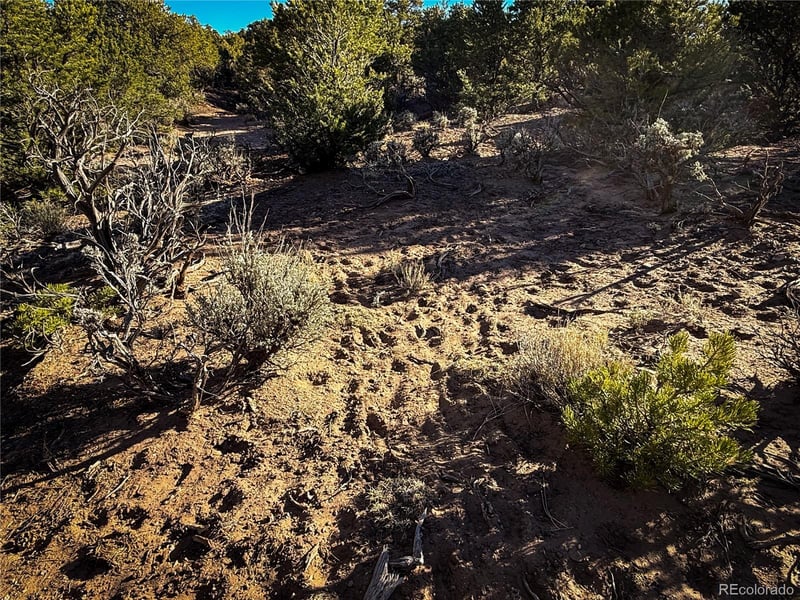 00 Paine Rd, Fort Garland, CO 81133