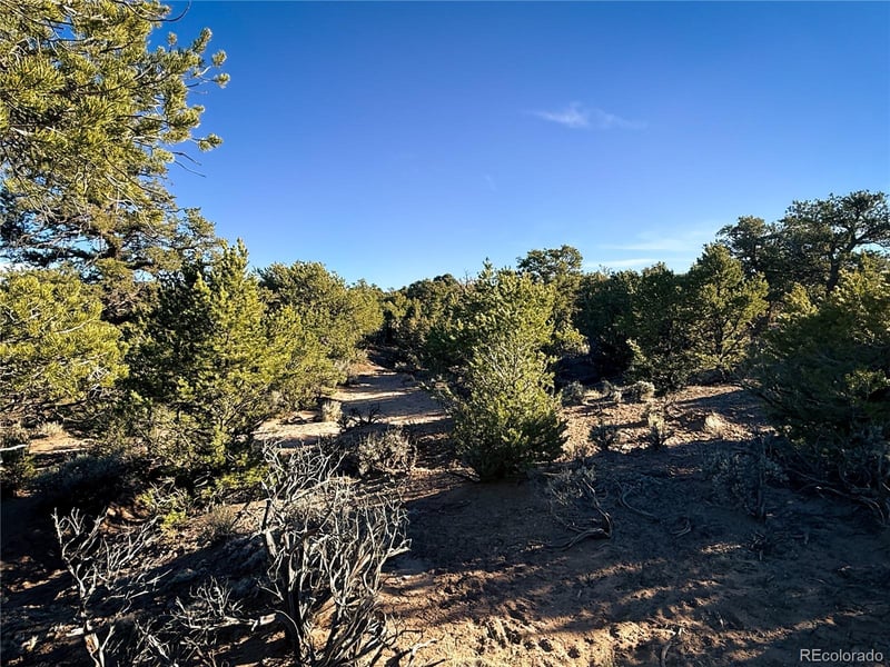 00 Paine Rd, Fort Garland, CO 81133