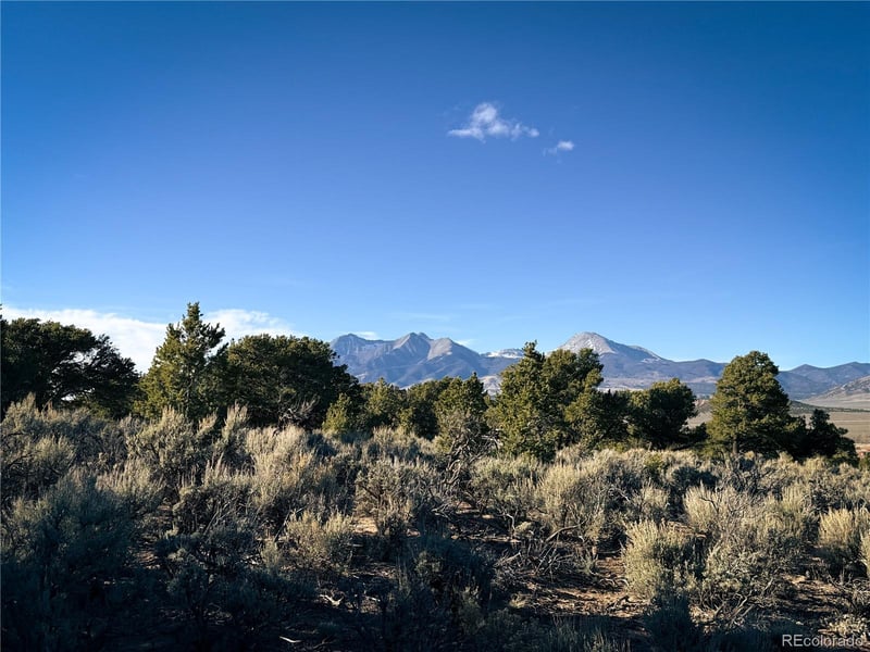 00 Paine Rd, Fort Garland, CO 81133