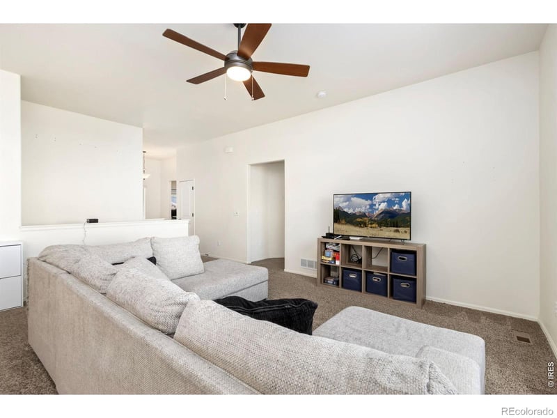 1484 First Light Dr, Windsor, CO 80550