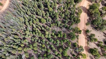 2151 Mountain Estates Rd, Florissant, CO 80816