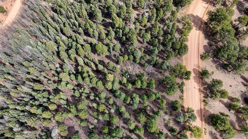 2151 Mountain Estates Rd, Florissant, CO 80816