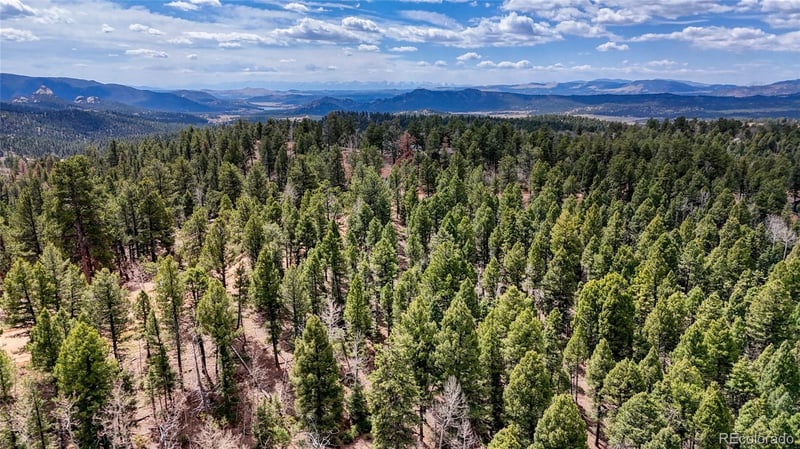 2151 Mountain Estates Rd, Florissant, CO 80816