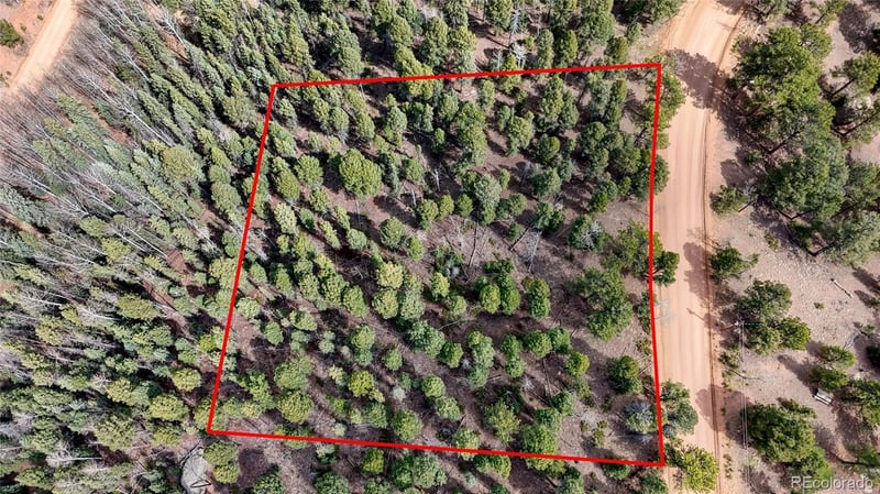2151 Mountain Estates Rd, Florissant, CO 80816