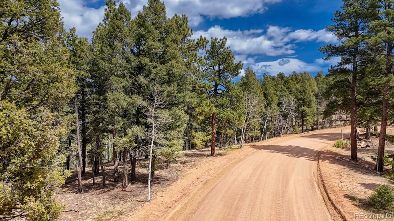 2151 Mountain Estates Rd, Florissant, CO 80816