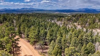 2151 Mountain Estates Rd, Florissant, CO 80816