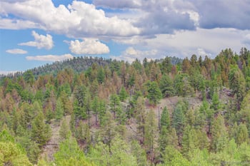 212 Skyhawk Ln, Guffey, CO 80820
