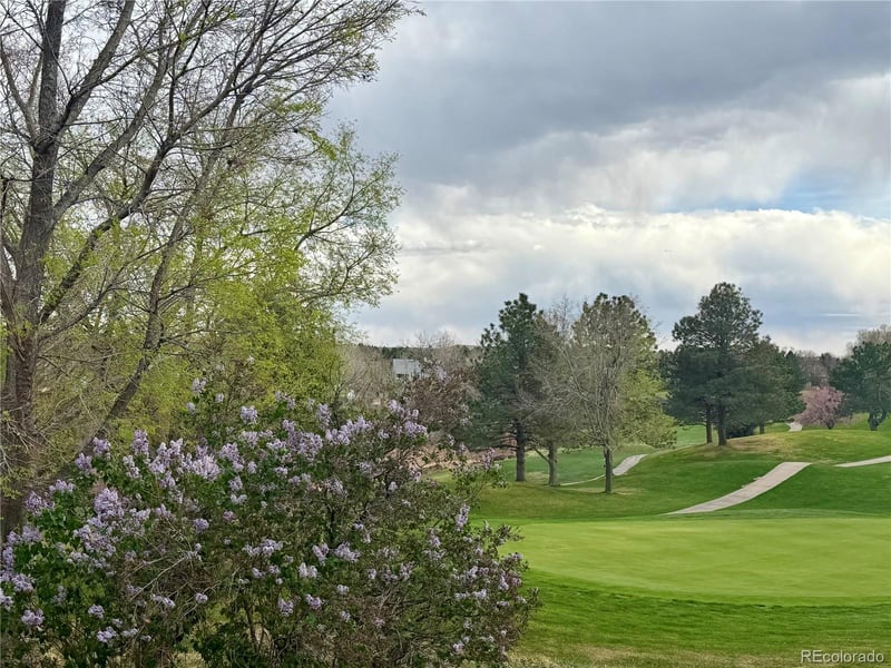 8642 Canongate Ln, Highlands Ranch, CO 80130