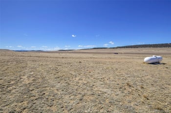 2125 James Ln, Fairplay, CO 80440
