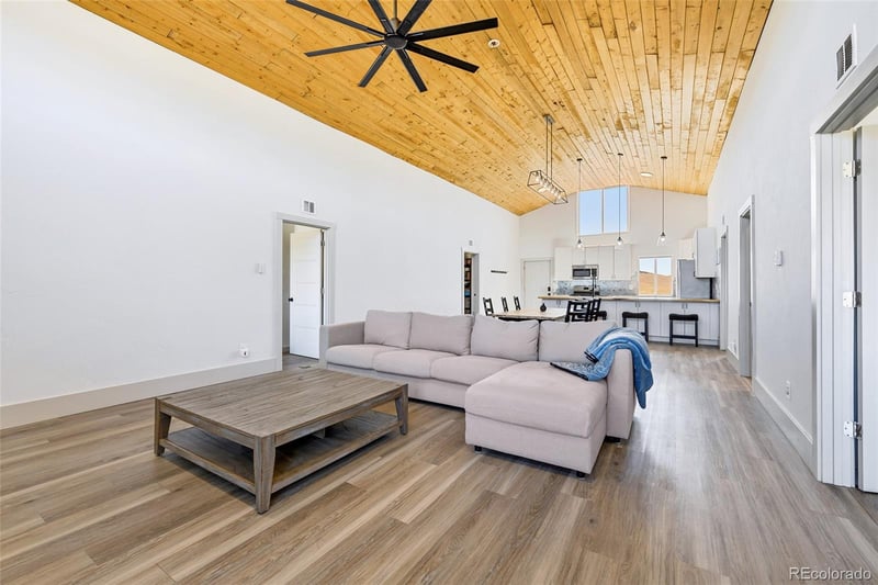 2125 James Ln, Fairplay, CO 80440