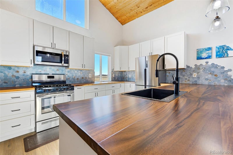 2125 James Ln, Fairplay, CO 80440