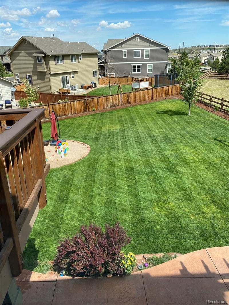 1906 Charbray Point, Castle Rock, CO 80108