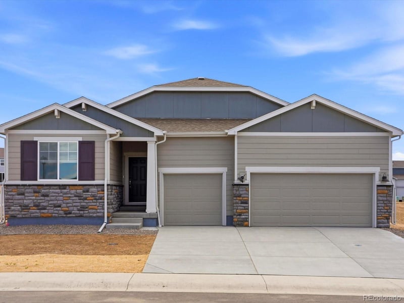 1614 Nathan River Dr, Windsor, CO 80550