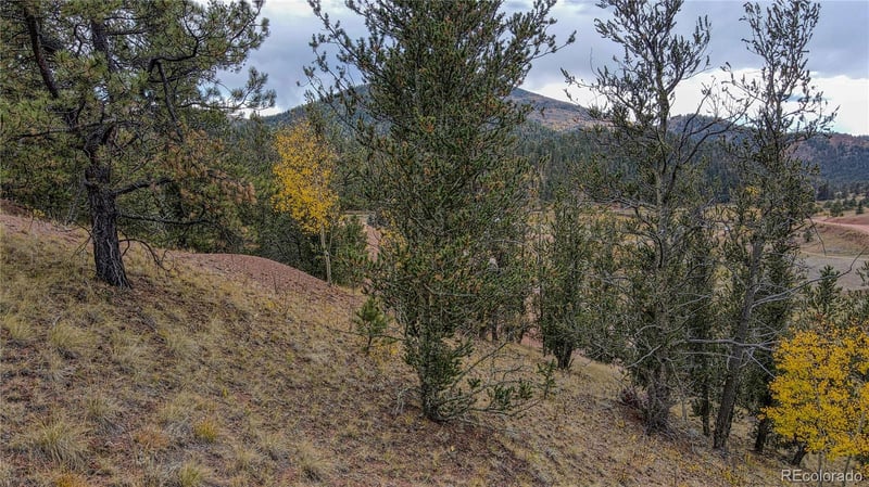 65 Portland Dr, Cripple Creek, CO 80813