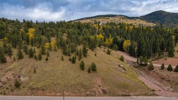65 Portland Dr, Cripple Creek, CO 80813