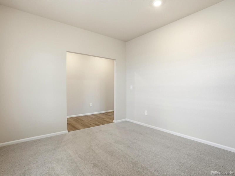 1216 Spring Creek Dr, Windsor, CO 80550