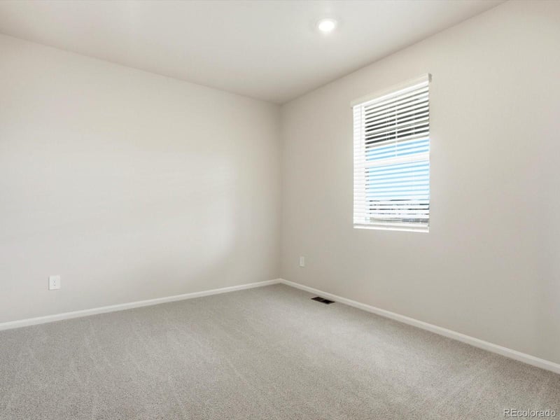 1216 Spring Creek Dr, Windsor, CO 80550