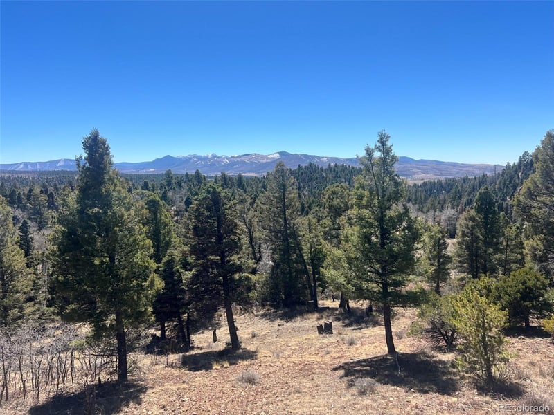 3140 Schierl Rd, Fort Garland, CO 81133