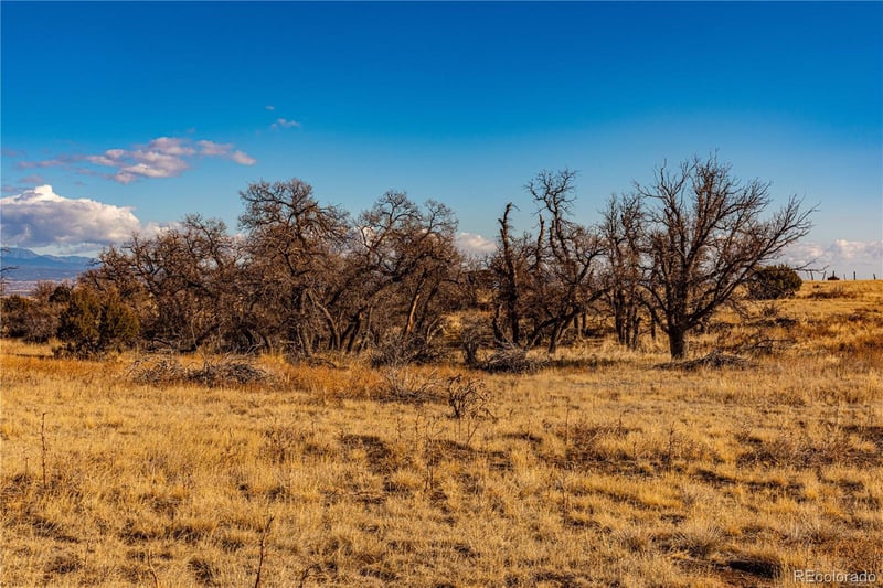 0 County Road 106, Wetmore, CO 81253