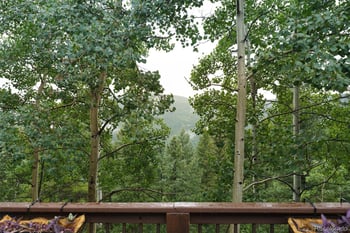70 Jackpine Ln, Evergreen, CO 80439