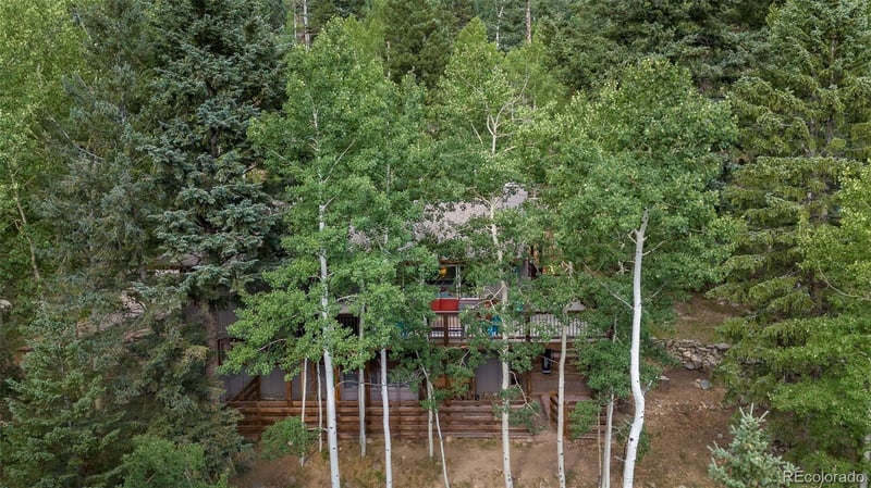 70 Jackpine Ln, Evergreen, CO 80439