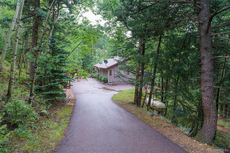 70 Jackpine Ln, Evergreen, CO 80439