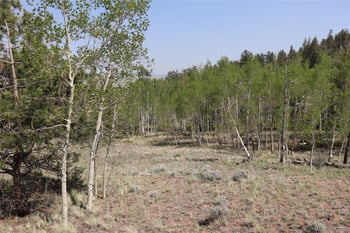 687 Corral Rd, Hartsel, CO 80449