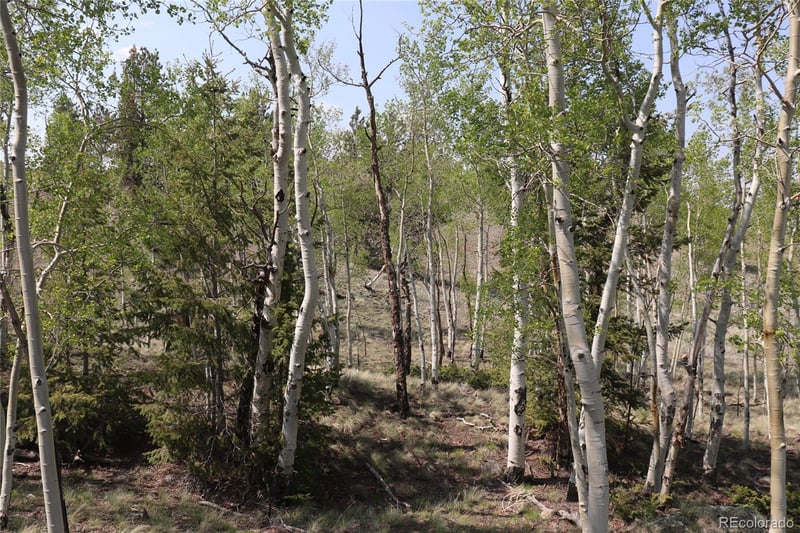 687 Corral Rd, Hartsel, CO 80449