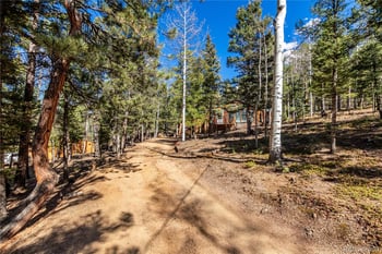 44 Anderson Rd, Florissant, CO 80816